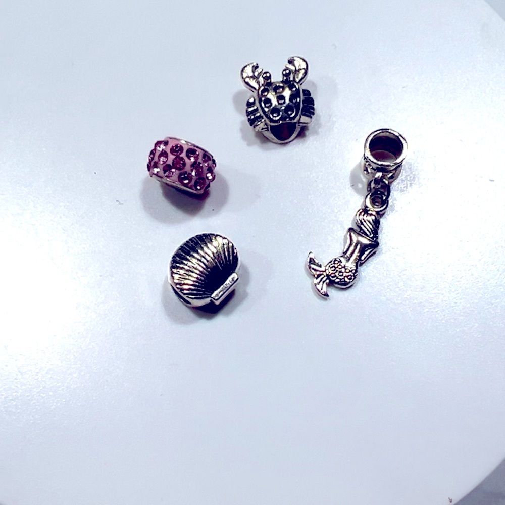 Charms that fit Pandora bracelet